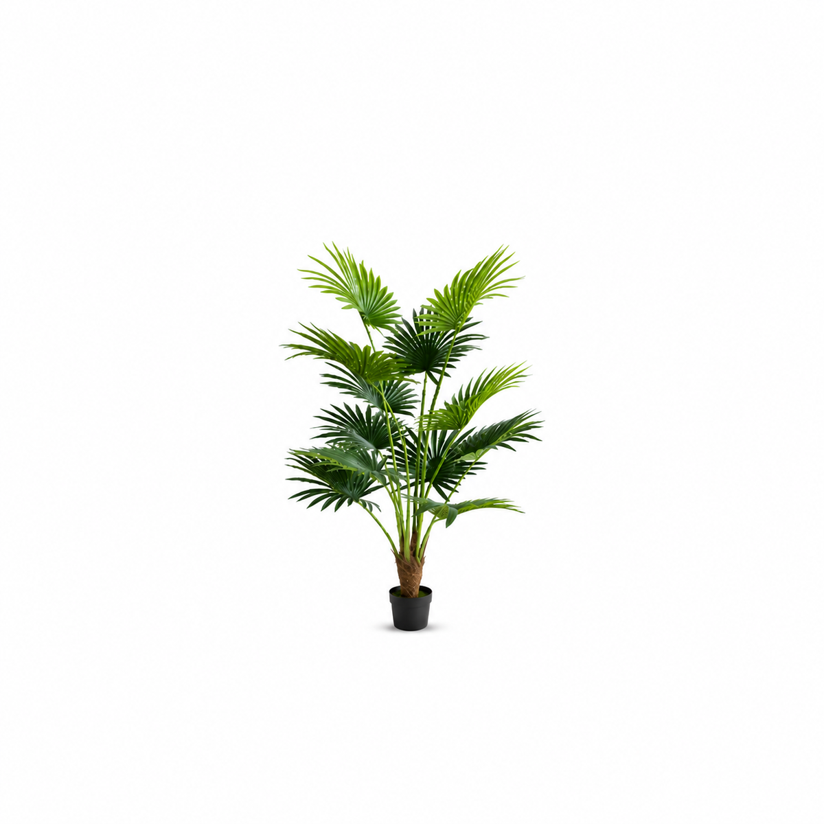 Piante artificiali
