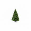 Albero di Natale