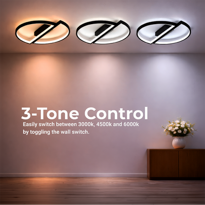 Lampadario a LED con telecomando VECTOR ARCUS 52W, 2 Elementi, Luce Fredda/Calda/Neutra, Dimmerabile, Nero Lampadari a LED con telecomando Titolo predefinito Alessandro Design
