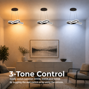 Lampadario LED a Sospensione con Telecomando INFINITY LOOP 61W, Luce Fredda/Calda/Neutra, Dimmerabile, Nero, Lampadari LED con Telecomando Titolo Default Alessandro Design
