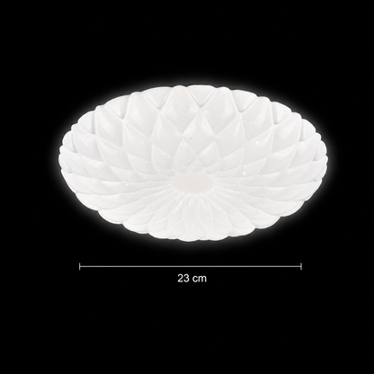 Plafoniera LED 23 cm, 22W, 3000K / 4000K / 6000K, Bianco, Metallo e Acrilico Plafoniere LED Titolo predefinito Alessandro Design