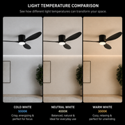 VENTIS Lampadario LED Fan con telecomando, 21 W, D80 cm, Luce fredda/neutra/calda, metallo e plastica, Nero