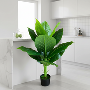 Pianta artificiale tipo banana Musa, 100 cm, verde