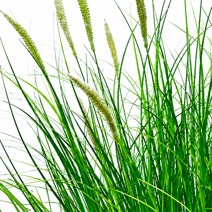 Pianta erbacea ornamentale tipo coda di volpe artificiale, 67 cm, con 25 spezie, verde e bianco, senza vaso