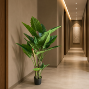 Pianta artificiale tipo Alocasia, 3 steli, 160 cm, verde