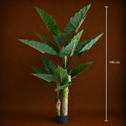 Pianta Alocasia Artificiale A Foglie Larghe, 2 tronchi, 190 cm, Verde