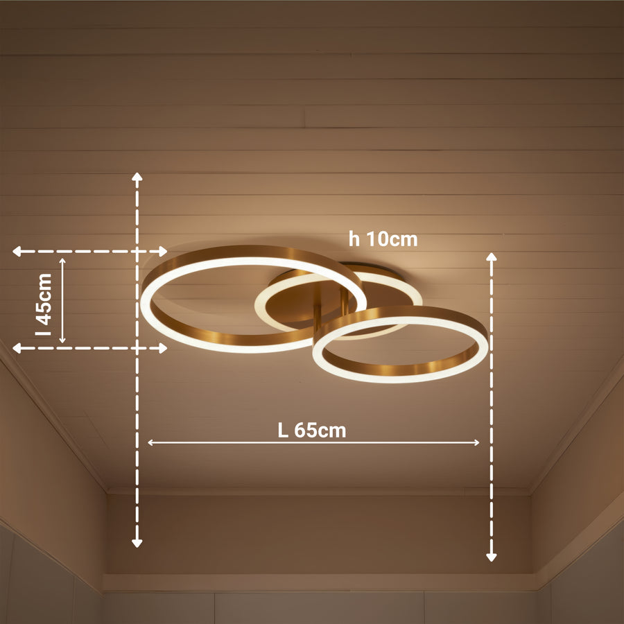 Lampadario LED con Telecomando RINOVA 66W, 2 Cerchi, Luce Fredda/Calda/Neutra, Dimmerabile, Lampadari LED Oro Lucido con Telecomando Titolo predefinito Alessandro Design