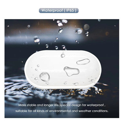 Lampada da Parete per Esterno a LED, IP65, Bianco, Luce Calda 3000K, Lampada da Parete per Esterno Bianca Titolo predefinito Alessandro Design