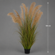 Erba ornamentale per piante artificiali, 183 cm, con 13 fili, canna ed erba, verde scuro, senza vaso