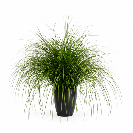 Pianta ornamentale in erba tipo fontana artificiale, 110 cm, verde, senza vaso