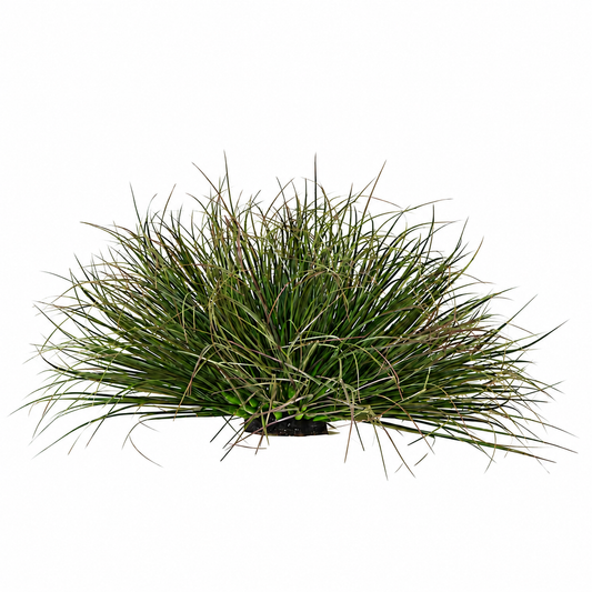 Cespuglio di erba di cipolla curva artificiale, 28 cm, bassa densità, verde scuro, senza vaso