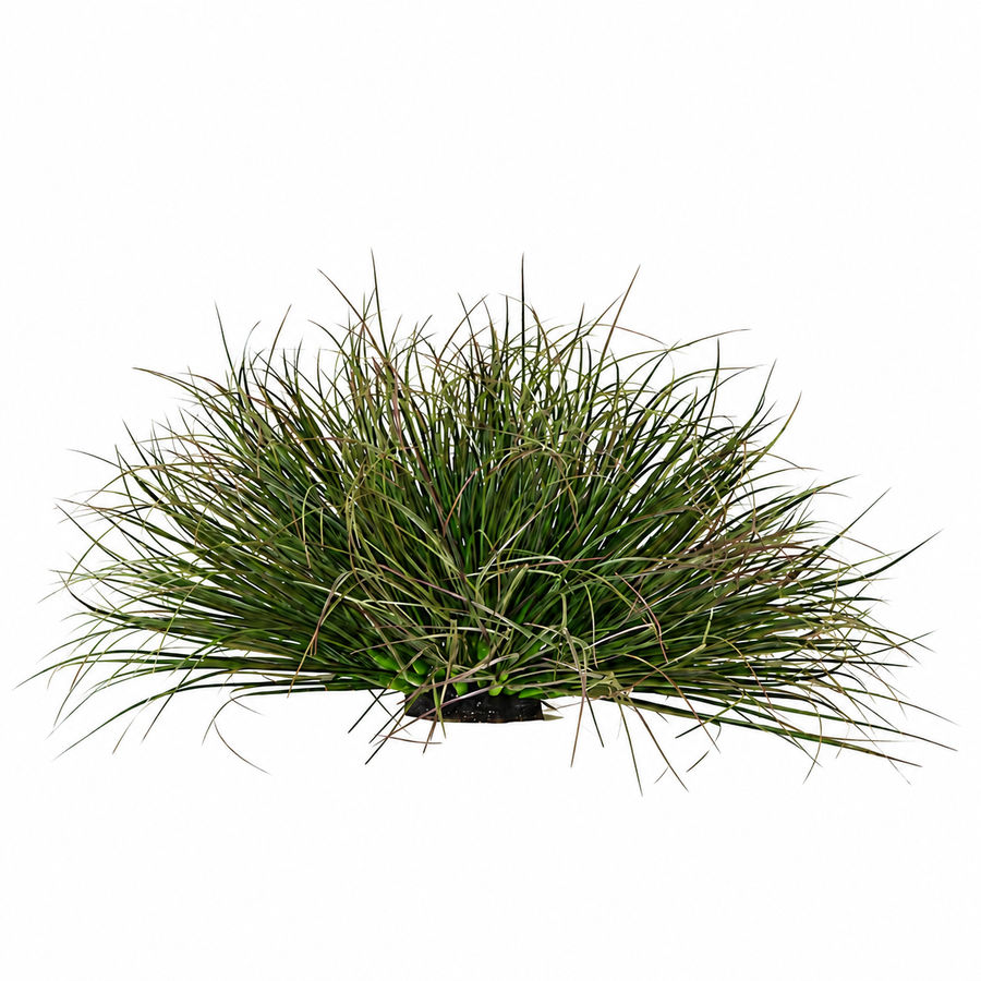 Planta Artificială Tufă de Iarbă Tip Ceapă Curbată, 28 cm, Densitate Redusă, Verde Închis, Fara Ghiveci