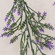 Planta Artificiala Ghirlanda Decorativa de Lavanda, Aspect Natural, 185cm, 72 Ramificatii, Verde si Mov, Set de 2 Bucati