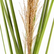Pianta artificiale erba ornamentale, 110 cm, canna ed erba, verde e marrone, senza vaso