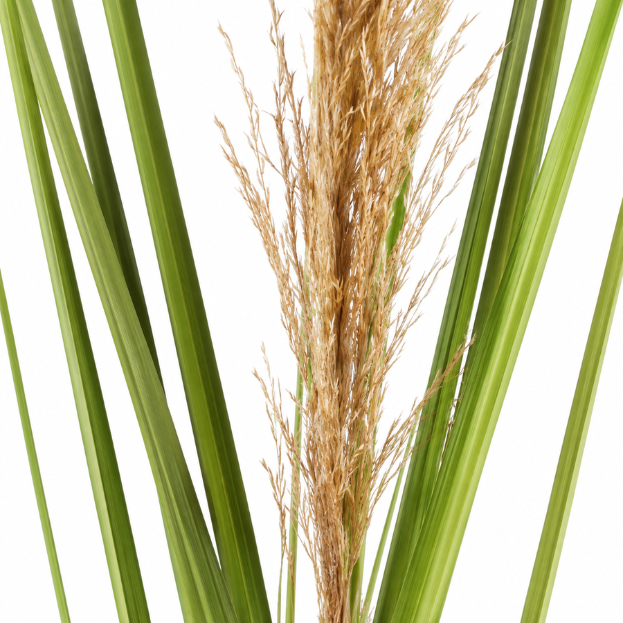Pianta artificiale erba ornamentale, 110 cm, canna ed erba, verde e marrone, senza vaso