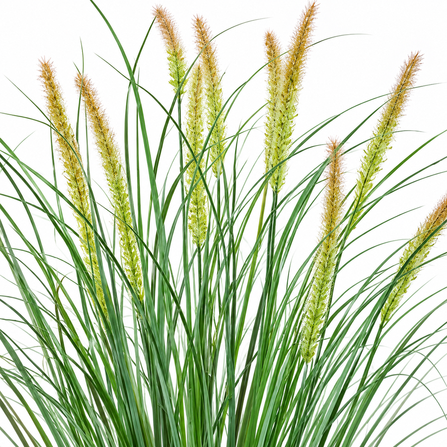 Pianta erbacea ornamentale tipo coda di volpe artificiale, 100 cm, con 12 spezie, verde e rosa, senza vaso