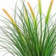 Planta Artificiala Iarba Ornamentala Tip Coada Vulpii, 60 cm, cu 7 Spice, Verde si Roz, Fara Ghiveci
