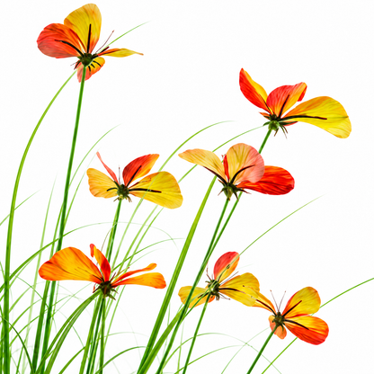 Pianta ornamentale artificiale in erba farfalla, 100 cm, con 13 fiori, verde e rosso, senza vaso