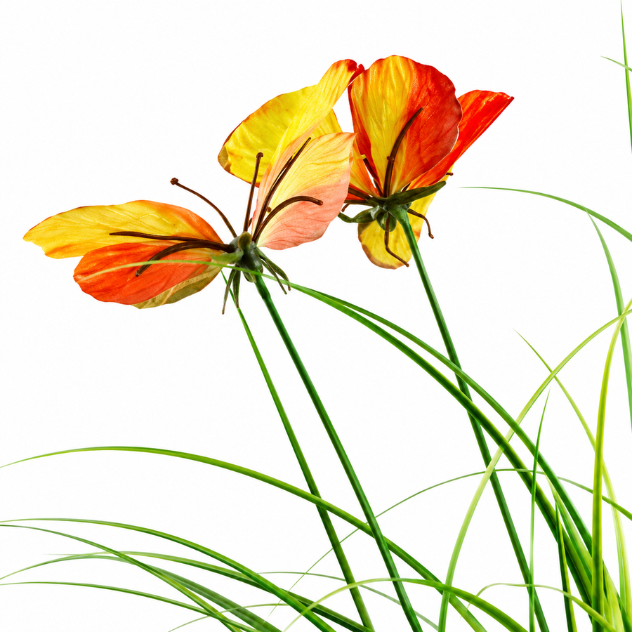 Pianta ornamentale artificiale in erba farfalla, 60 cm, con 5 fiori, verde e rosso, senza vaso