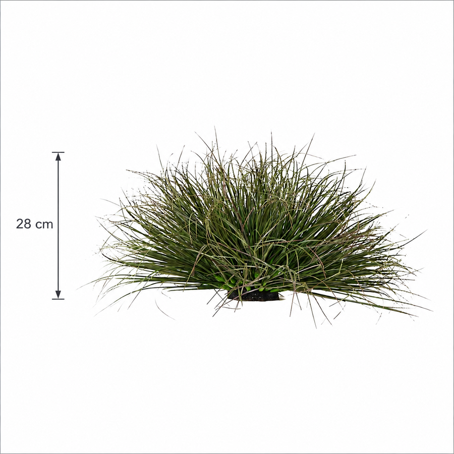 Cespuglio di erba di cipolla curva artificiale, 28 cm, bassa densità, verde scuro, senza vaso
