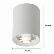 TINNIE Proiettore LED, Fisso, 8W, Luce Neutra 4000K, Bianco
