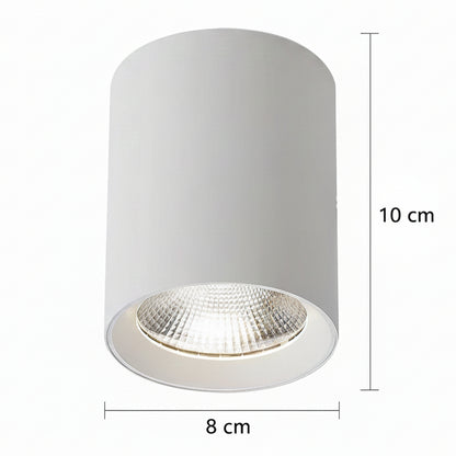 TINNIE Proiettore LED, Fisso, 8W, Luce Neutra 4000K, Bianco