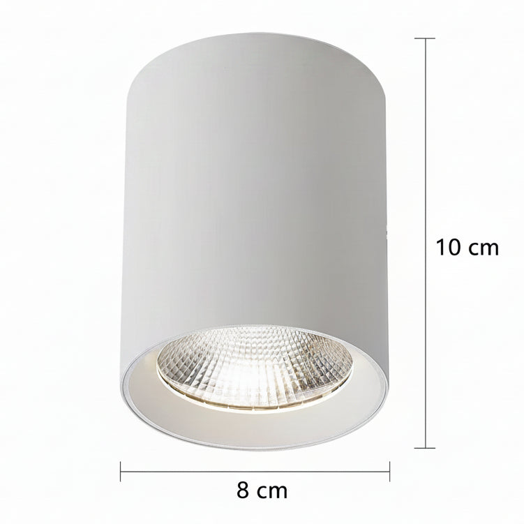 TINNIE Proiettore LED, Fisso, 8W, Luce Neutra 4000K, Bianco