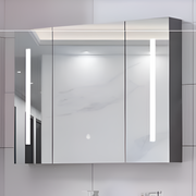 Specchio LED con Contenitore AXEN 100x70 cm Striscia Verticale Bianca e Sensore Touch Specchi Armadietti Titolo predefinito Alessandro Design
