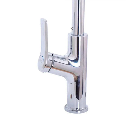 Rubinetto da cucina con doccia estraibile, acciaio inossidabile SUS304, cromo, FJ5543 Rubinetti da cucina Titolo predefinito Alessandro Design
