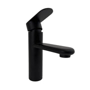 Rubinetto per lavabo in acciaio inossidabile nero ZY1001 Rubinetti per bagno Titolo predefinito Alessandro Design