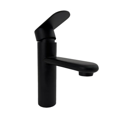 Rubinetto per lavabo in acciaio inossidabile nero ZY1001 Rubinetti per bagno Titolo predefinito Alessandro Design