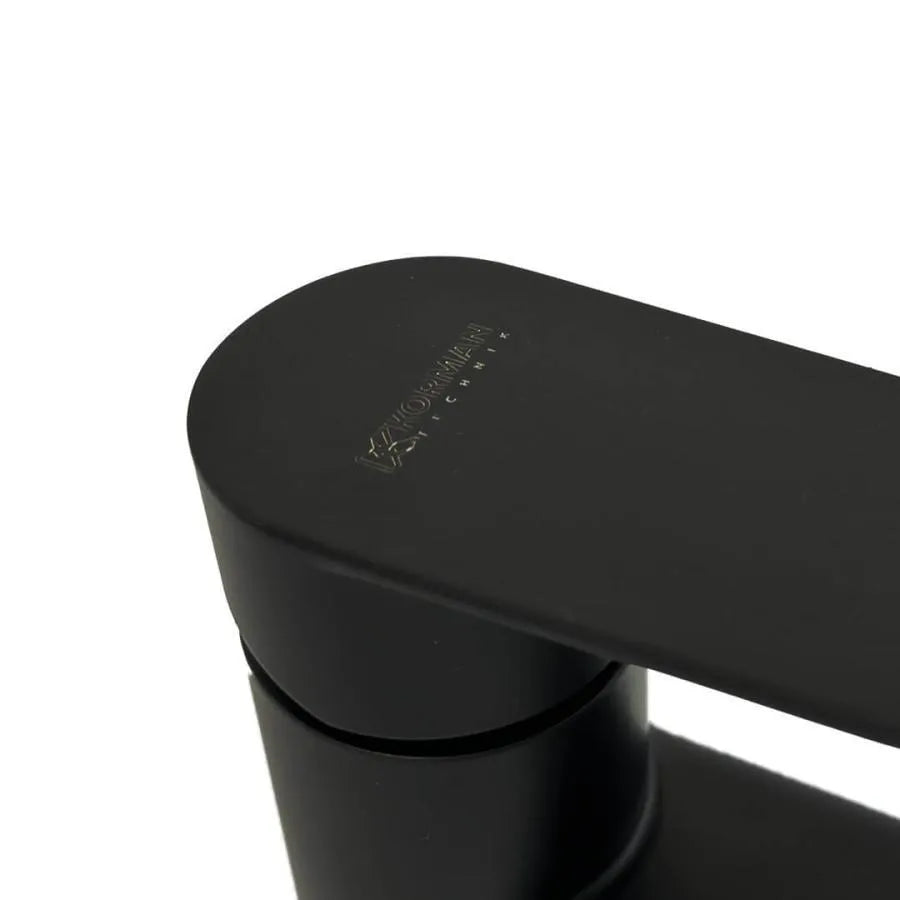 Rubinetto per lavabo in acciaio inossidabile nero ZY1001 Rubinetti per bagno Titolo predefinito Alessandro Design