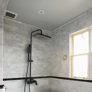 Colonna doccia con soffione e calotta di regolazione, ottone sanitario, nero, 9920H Rubinetti e colonne doccia Titolo predefinito Alessandro Design