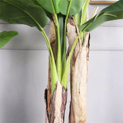 Pianta artificiale di banana giapponese, 3 rami, senza vaso 190 cm Piante artificiali verdi da interno Titolo predefinito Alessandro Design